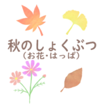 秋のしょくぶつのイラストページのアイキャッチ画像