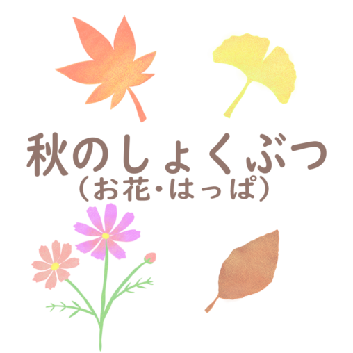 秋のしょくぶつのイラストページのアイキャッチ画像