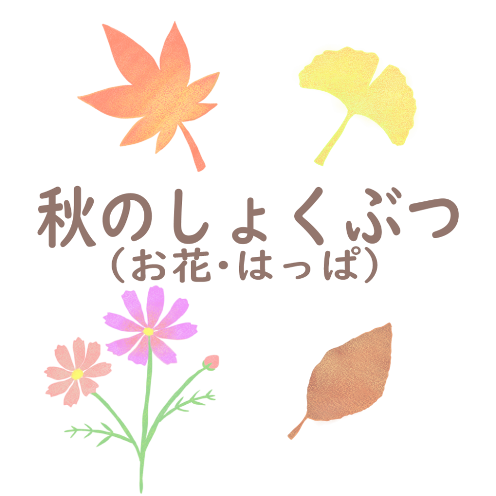 秋のしょくぶつのイラストページのアイキャッチ画像